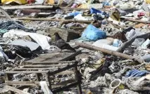 У чому доведеться плавати спортсменам у Ріо - шокуючі знімки чому