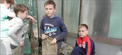 Де провести випускний в початковій школі ідеї для свята (провести випускний початкової) Де провести випускний в початковій школі ідеї для свята