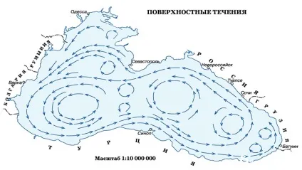 Де найчистіше море в криму (саме) Де найчистіше море в криму