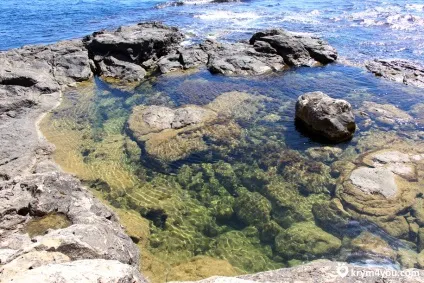 Де найчистіше море в криму (криму) Де найчистіше море в криму