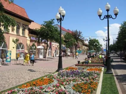 Де краще жити в Житомирському краї міста, нерухомість, клімат