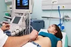 Гістологічне будова сечового міхура (сечового) Гістологічне будова сечового міхура