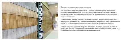 Гетерогенний лінолеум - що це таке, якості та властивості (таке) Гетерогенний лінолеум - що це таке, якості та властивості