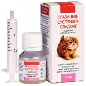 Глисти у кошеняти симптоми і лікування гельмінтозу, профілактика (кошеня) Глисти у кошеняти симптоми і лікування гельмінтозу, профілактика