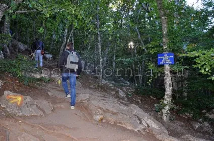 Гора ай-петрі, крим як дістатися, що подивитися, огляд з фото (ай-петрі) Гора ай-петрі, крим як дістатися, що подивитися, огляд з фото