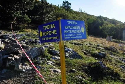 Гора ай-петрі, крим як дістатися, що подивитися, огляд з фото (гора) Гора ай-петрі, крим як дістатися, що подивитися, огляд з фото