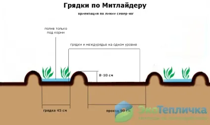 Грядки в теплиці розташування, види, матеріали (краще зробити грядки) Грядки в теплиці розташування, види, матеріали