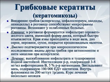 Грибковий кератит - причини, симптоми і лікування (фото) (кератит) Грибковий кератит - причини, симптоми і лікування (фото)