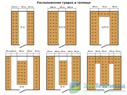Грядки в теплиці розташування, види, матеріали (розташування) Грядки в теплиці розташування, види, матеріали