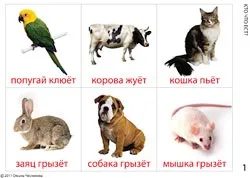 Гра memory - ігри - заняття з дитиною - авторський проект натальи грухіной (memory) Гра memory - ігри - заняття з дитиною - авторський проект натальи грухіной