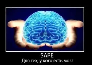 Інструкція по швидкому заробітку на sape (інструкція) Інструкція по швидкому заробітку на sape