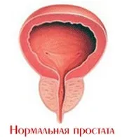 Шукаєте де зробити УЗД простати (зробити) Шукаєте де зробити УЗД простати