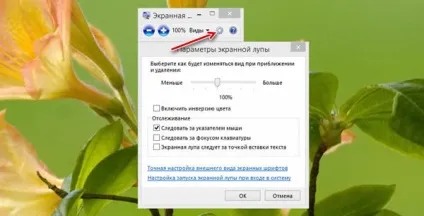 Використання екранної лупи для перегляду елементів в системі windows 8 (windows) Використання екранної лупи для перегляду елементів в системі windows 8
