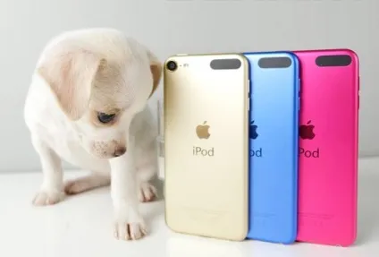 Ipod touch 6g і ipod touch 5g докладний порівняння, огляди від icanto