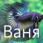 Іван, ваня, Ванюша, іван, вано всі картинки для тебе, картинки з іменами