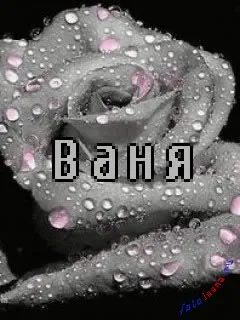 Іван, ваня, Ванюша, іван, вано всі картинки для тебе, картинки з іменами