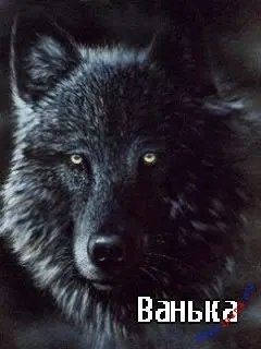 Іван, ваня, Ванюша, іван, вано всі картинки для тебе, картинки з іменами