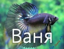 Іван, ваня, Ванюша, іван, вано всі картинки для тебе, картинки з іменами