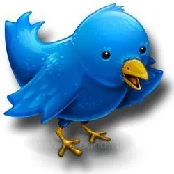 Історія twitter