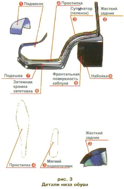 З чого складається взуття - корисна інформація - мережа магазинів взуттєвої - роздрібний продаж взуття в (деталь верху взуття) З чого складається взуття - корисна інформація - мережа магазинів взуттєвої - роздрібний продаж взуття в