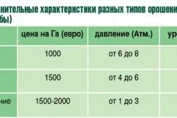 Як часто поливати картопля