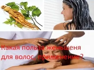 Яка користь женьшеню для волосся, застосування, мій знахар (волосся і нігтів) Яка користь женьшеню для волосся, застосування, мій знахар