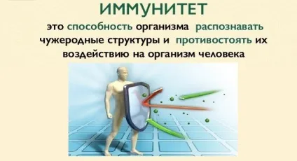 Як швидко підвищити імунітет після грипу всі способи і засоби (швидко) Як швидко підвищити імунітет після грипу всі способи і засоби