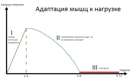 Як часто потрібно міняти програму тренувань