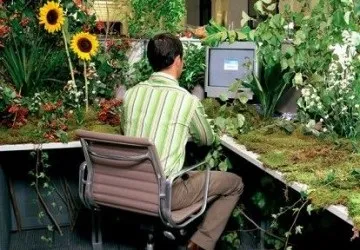 Як грамотно організувати робочі місця співробітників (робочі) Як грамотно організувати робочі місця співробітників