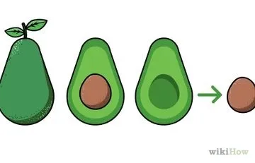 Як позбутися від гедзів (гедзів) Як позбутися від гедзів