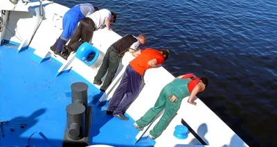 Як уникнути морської хвороби (морської) Як уникнути морської хвороби