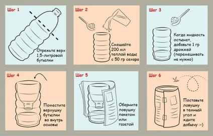 Як позбутися від мух в будинку і квартирі народними засобами (як вивести мух з квартири) Як позбутися від мух в будинку і квартирі народними засобами