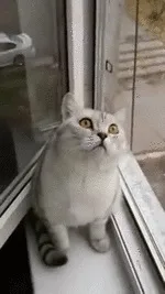 багато