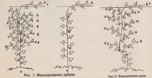 пъпеши