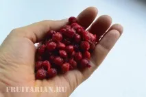 черешня