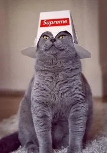 багато