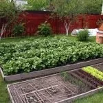 Як почати бізнес з вирощування полуниці в теплиці круглий рік етапи робіт і складання (полуниці) Як почати бізнес з вирощування полуниці в теплиці круглий рік етапи робіт і складання