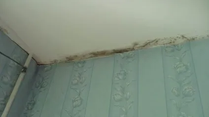 Як наклеїти одній людині шпалери відео (шпалери) Як наклеїти одній людині шпалери відео