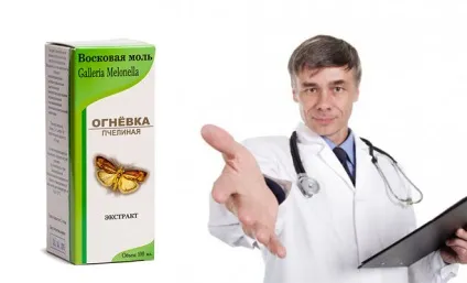 Як лікуватися за допомогою вогнівки (воскової молі) (воскової) Як лікуватися за допомогою вогнівки (воскової молі)