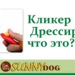 Як навчити собаку команді «повзи» (команді) Як навчити собаку команді «повзи»