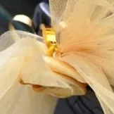 Як називається футболка без рукавів