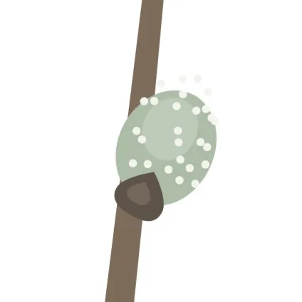 Як намалювати весняний букет в adobe illustrator (букет) Як намалювати весняний букет в adobe illustrator