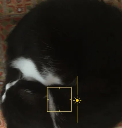 Як налаштувати камеру iphone