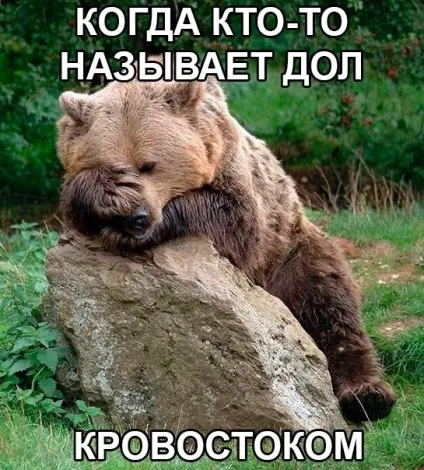 Як називаються ті чи інші частини ножа