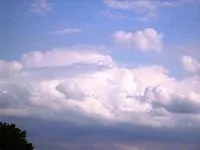 Як оскаржити вирок мирового судді (оскаржити) Як оскаржити вирок мирового судді