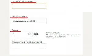 Як оплатити комунальні послуги через ківі гаманець (гаманець) Як оплатити комунальні послуги через ківі гаманець