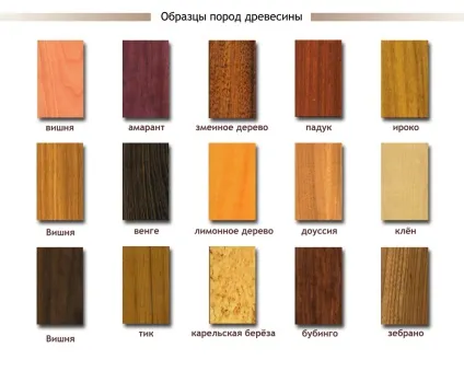 Як обшити баню вагонкою (обшити баню вагонкою) Як обшити баню вагонкою
