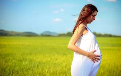 Яка користь від застосування чистотілу при прищах на обличчі й тілі - рецепти, протипоказання, відгуки (Горілчана настоянка чистотілу) Яка користь від застосування чистотілу при прищах на обличчі й тілі - рецепти, протипоказання, відгуки