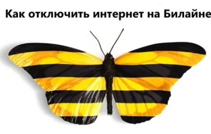 Як відключити пакет інтернету на Білайні (Білайн) Як відключити пакет інтернету на Білайні