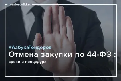 Як скасувати закупівлю в рамках федерального закону 44 ФЗ терміни, процедура (новини тендерів) Як скасувати закупівлю в рамках федерального закону 44 ФЗ терміни, процедура